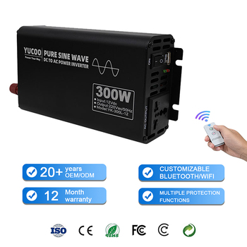 Portable Car Inverter 300W 12V 24V 48V to 110V 220V